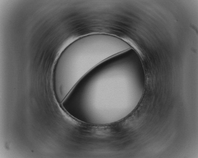 X0000092061143200709121000