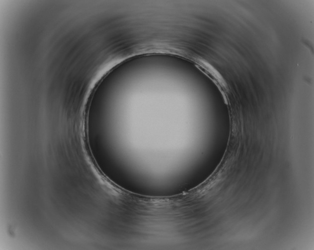 X0000092061144200709121000
