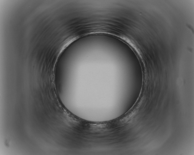 X0000092061145200709121000