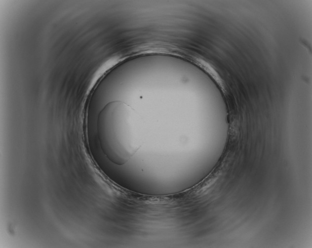 X0000092061146200709121000