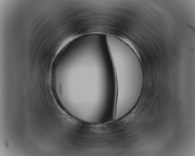 X0000092061147200709121000