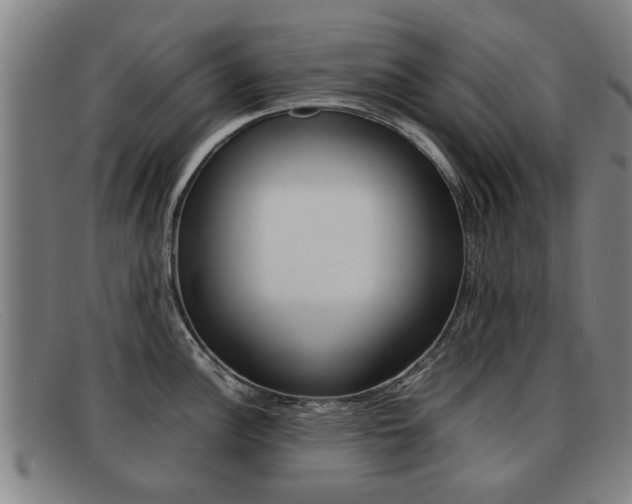 X0000092061148200709121000