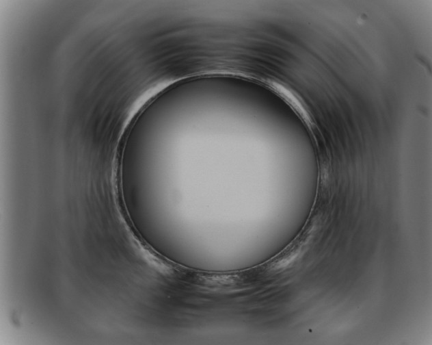 X0000092061149200709121000
