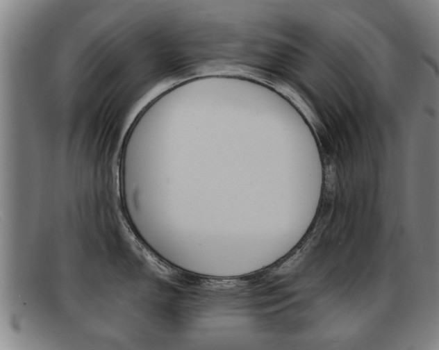 X0000092061150200709121000
