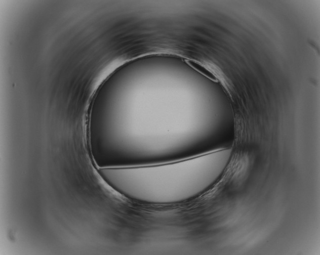 X0000092061151200709121000
