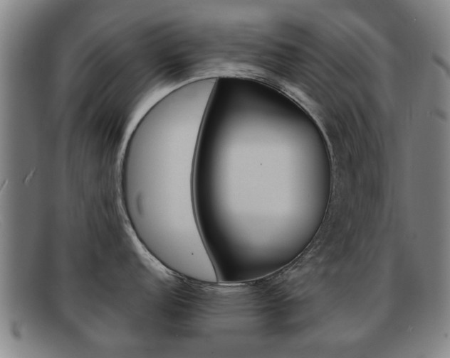 X0000092061152200709121000
