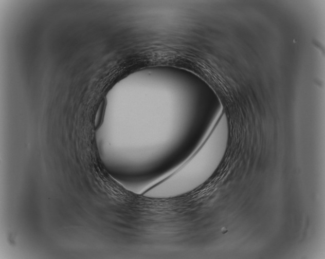 X0000092061153200709121000