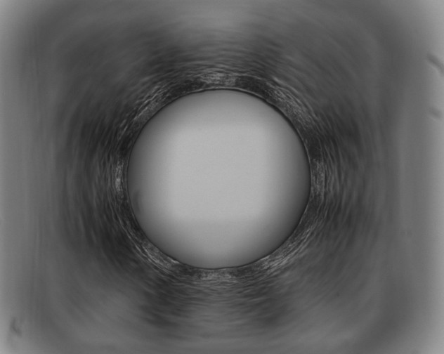X0000092061154200709121000