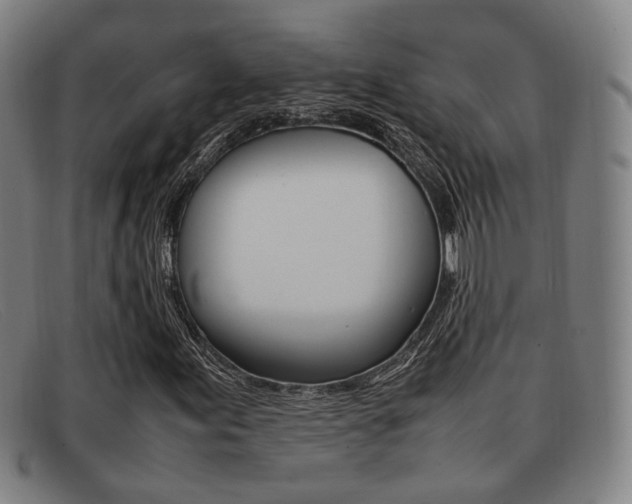 X0000092061155200709121000