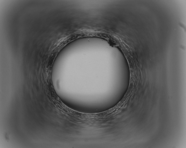 X0000092061157200709121000