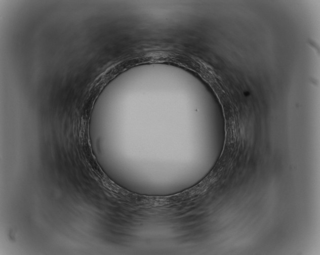 X0000092061158200709121000