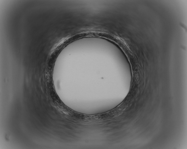 X0000092061159200709121000