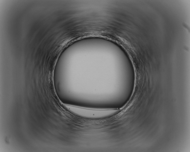 X0000092061161200709121000
