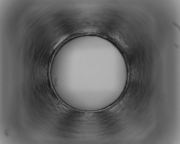 X0000092061162200709121000