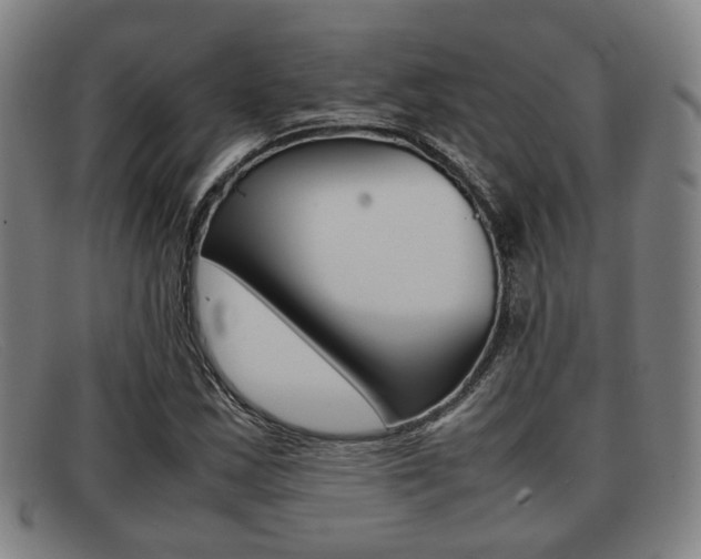 X0000092061163200709121000