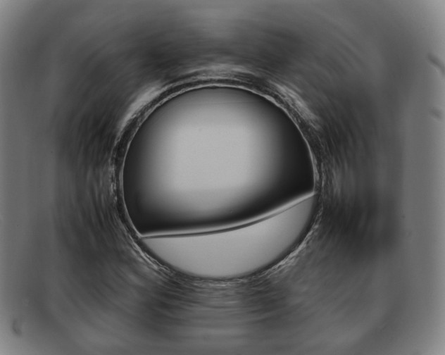 X0000092061164200709121000