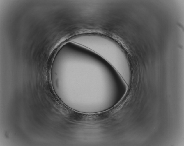 X0000092061165200709121000