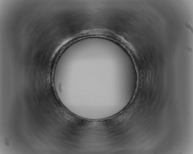 X0000092061166200709121000