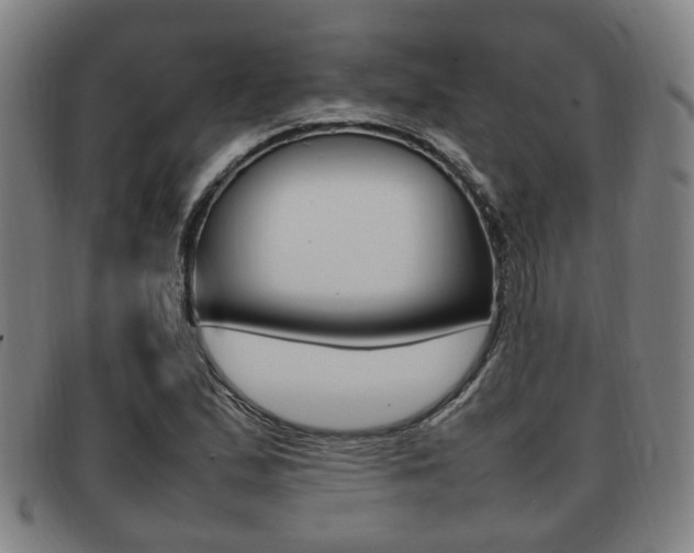 X0000092061167200709121000
