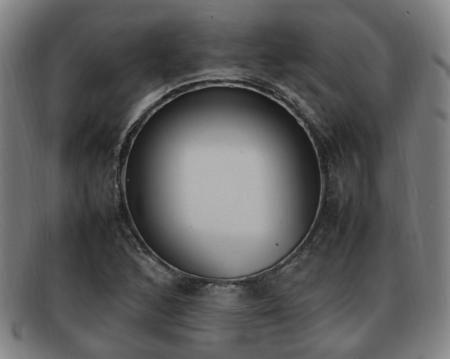X0000092061168200709121000