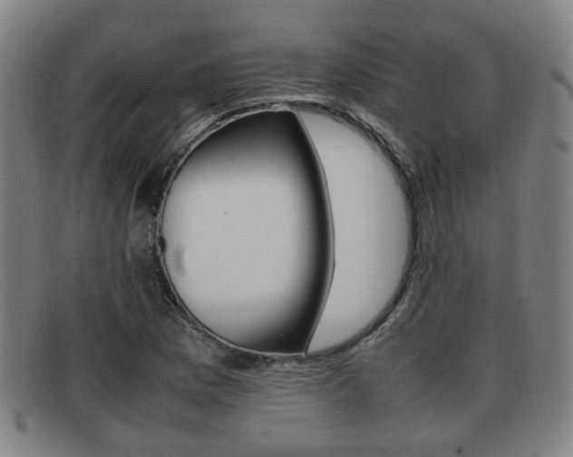 X0000092061169200709121000