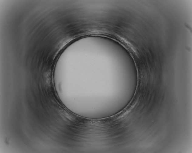 X0000092061170200709121000