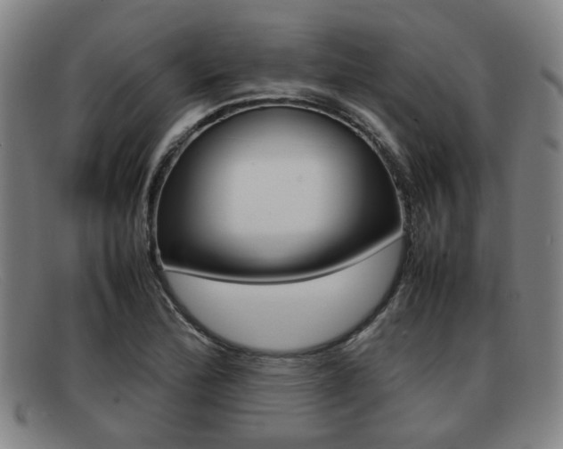 X0000092061172200709120959