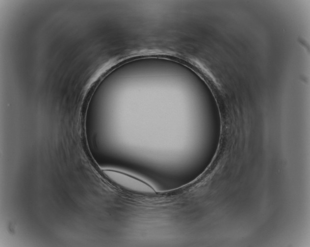 X0000092061173200709120959