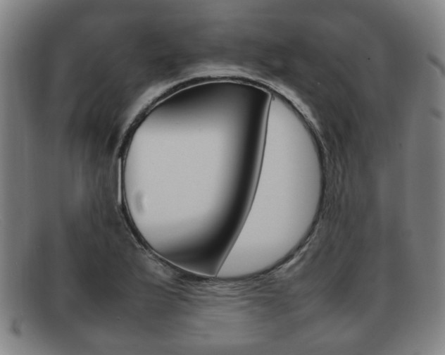 X0000092061175200709120959