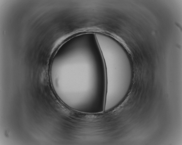 X0000092061176200709120959