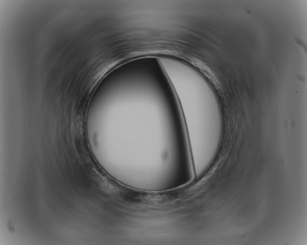 X0000092061177200709120959