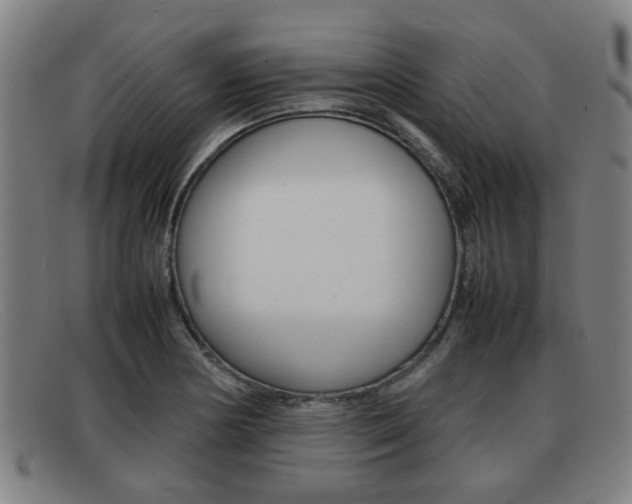 X0000092061178200709120959