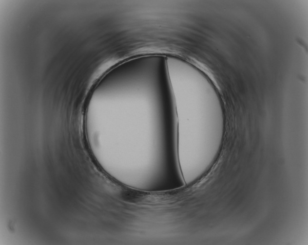 X0000092061179200709120959