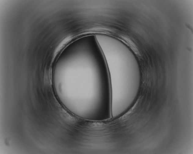 X0000092061180200709120959