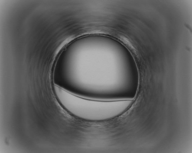 X0000092061181200709120959
