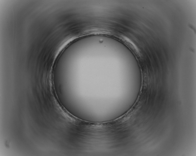 X0000092061182200709120959