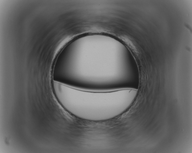X0000092061183200709120959
