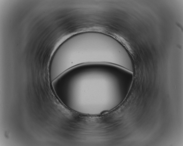 X0000092061184200709120959