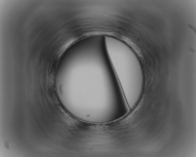 X0000092061185200709120959