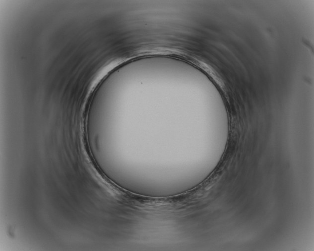X0000092061187200709120959