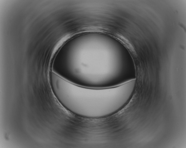 X0000092061188200709120959
