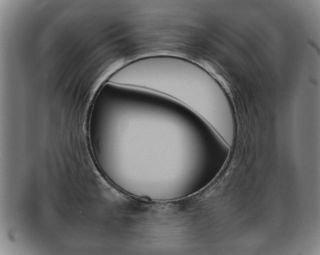 X0000092061189200709120959