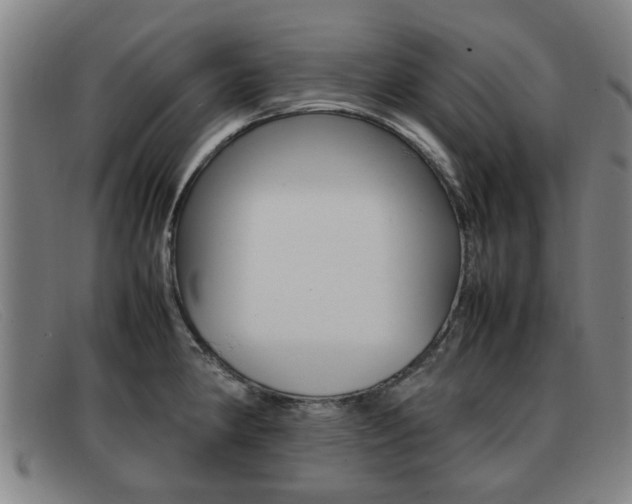 X0000092061190200709120959