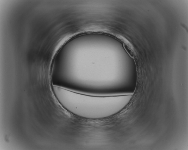 X0000092061191200709120959