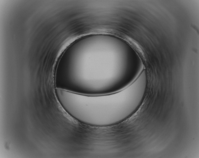 X0000092061192200709120959