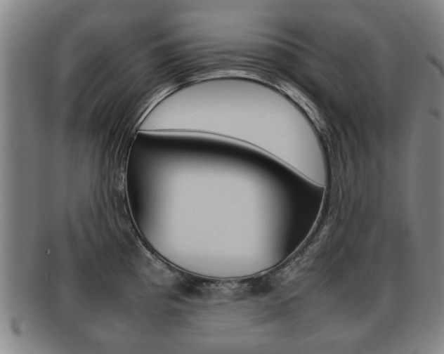 X0000092061193200709120959