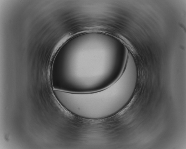 X0000092061196200709120959
