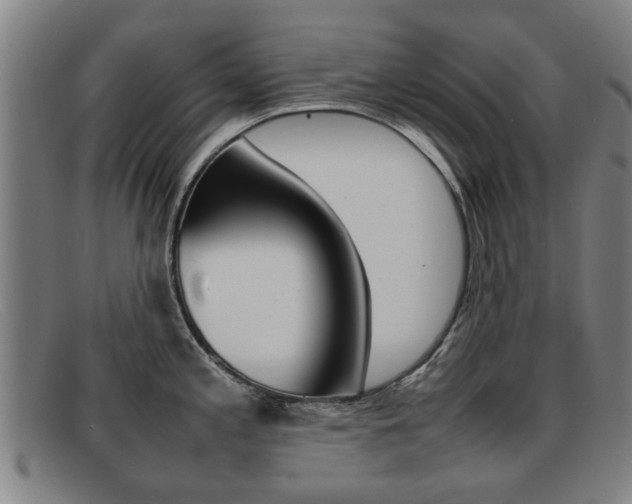 X0000092061197200709120959