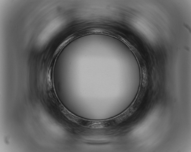 X0000092061198200709120959
