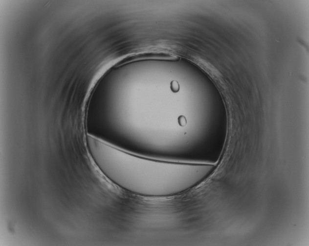 X0000092061200200709120959
